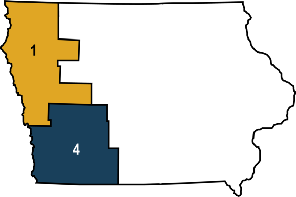DAP District 1 and 4